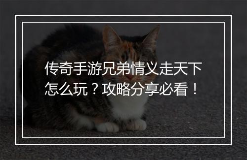 传奇手游兄弟情义走天下怎么玩？攻略分享必看！
