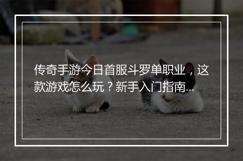 传奇手游今日首服斗罗单职业，这款游戏怎么玩？新手入门指南！