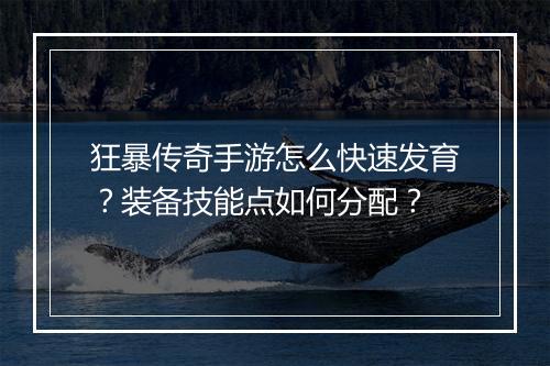 狂暴传奇手游怎么快速发育？装备技能点如何分配？