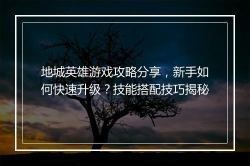 地城英雄游戏攻略分享，新手如何快速升级？技能搭配技巧揭秘