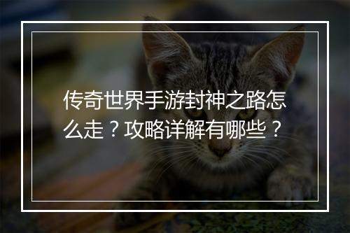 传奇世界手游封神之路怎么走？攻略详解有哪些？