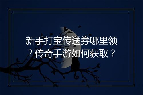 新手打宝传送券哪里领？传奇手游如何获取？