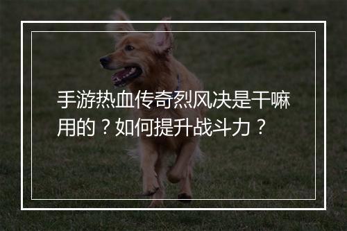 手游热血传奇烈风决是干嘛用的？如何提升战斗力？