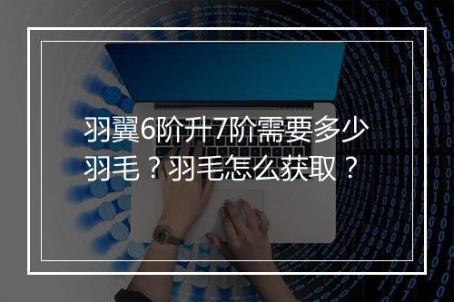 羽翼6阶升7阶需要多少羽毛？羽毛怎么获取？