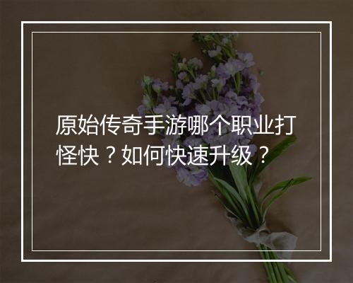 原始传奇手游哪个职业打怪快？如何快速升级？