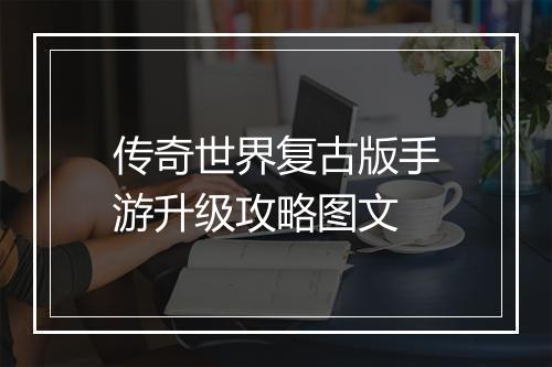 传奇世界复古版手游升级攻略图文
