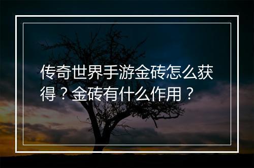 传奇世界手游金砖怎么获得？金砖有什么作用？