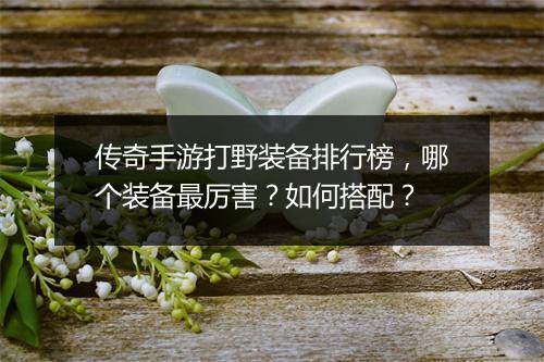 传奇手游打野装备排行榜，哪个装备最厉害？如何搭配？