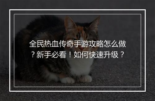 全民热血传奇手游攻略怎么做？新手必看！如何快速升级？