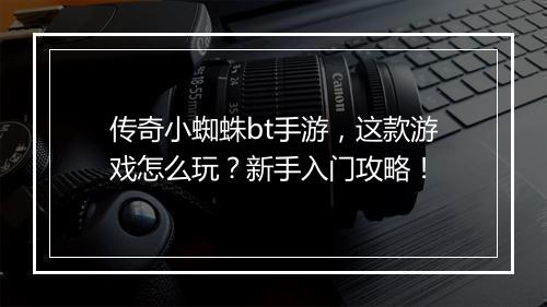 传奇小蜘蛛bt手游，这款游戏怎么玩？新手入门攻略！