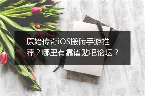 原始传奇iOS搬砖手游推荐？哪里有靠谱贴吧论坛？