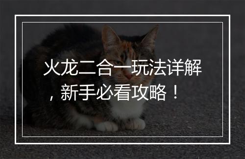 火龙二合一玩法详解，新手必看攻略！