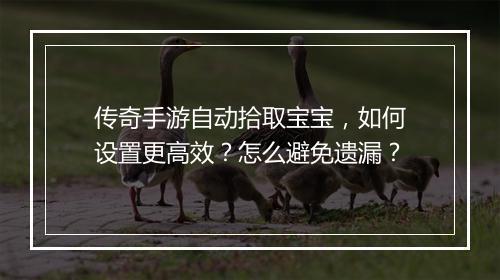 传奇手游自动拾取宝宝，如何设置更高效？怎么避免遗漏？