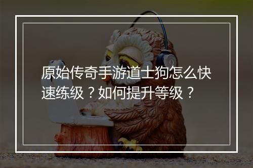 原始传奇手游道士狗怎么快速练级？如何提升等级？