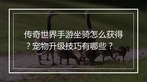 传奇世界手游坐骑怎么获得？宠物升级技巧有哪些？