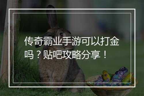 传奇霸业手游可以打金吗？贴吧攻略分享！