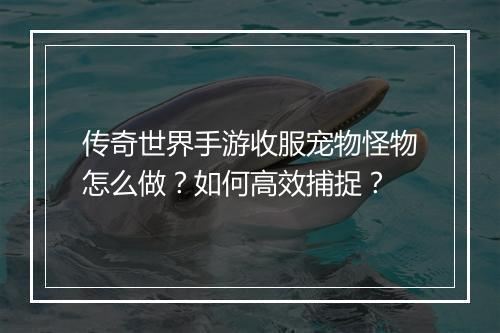 传奇世界手游收服宠物怪物怎么做？如何高效捕捉？