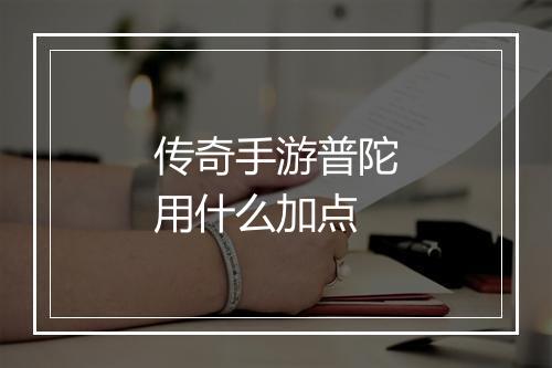 传奇手游普陀用什么加点