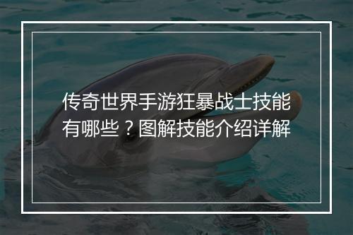 传奇世界手游狂暴战士技能有哪些？图解技能介绍详解