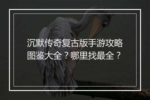 沉默传奇复古版手游攻略图鉴大全？哪里找最全？