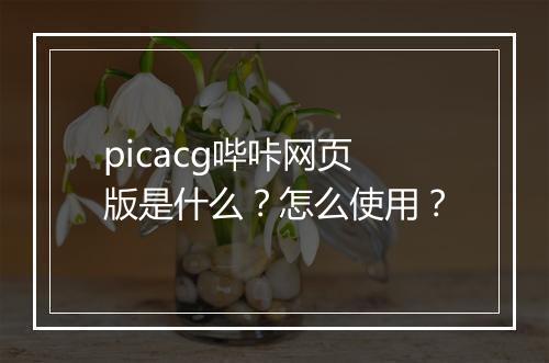 picacg哔咔网页版是什么？怎么使用？