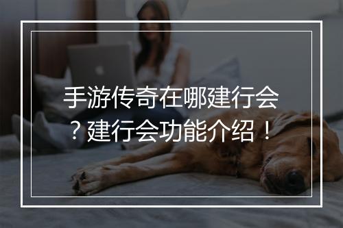 手游传奇在哪建行会？建行会功能介绍！