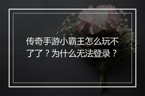 传奇手游小霸王怎么玩不了了？为什么无法登录？