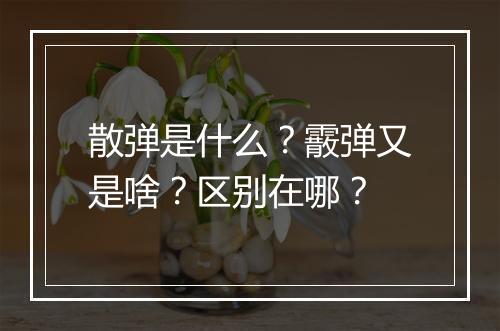 散弹是什么？霰弹又是啥？区别在哪？