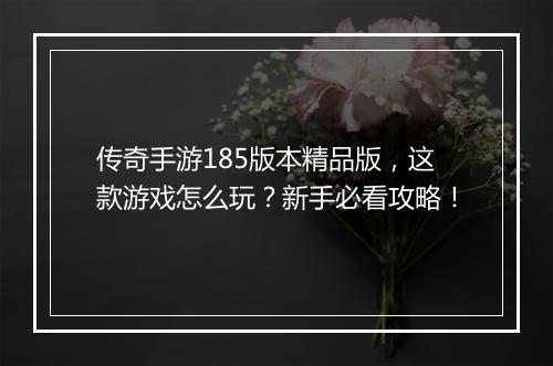 传奇手游185版本精品版，这款游戏怎么玩？新手必看攻略！