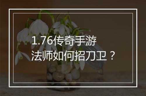 1.76传奇手游法师如何招刀卫？