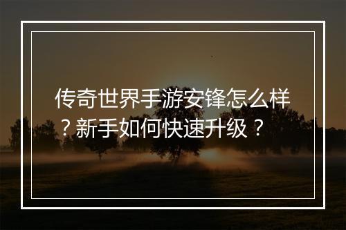 传奇世界手游安锋怎么样？新手如何快速升级？