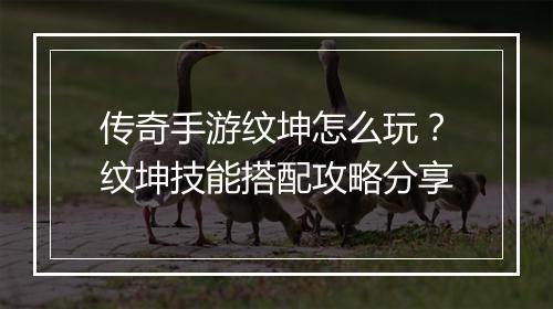 传奇手游纹坤怎么玩？纹坤技能搭配攻略分享