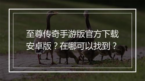 至尊传奇手游版官方下载安卓版？在哪可以找到？