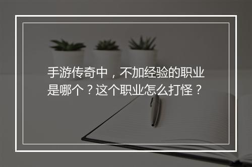手游传奇中，不加经验的职业是哪个？这个职业怎么打怪？