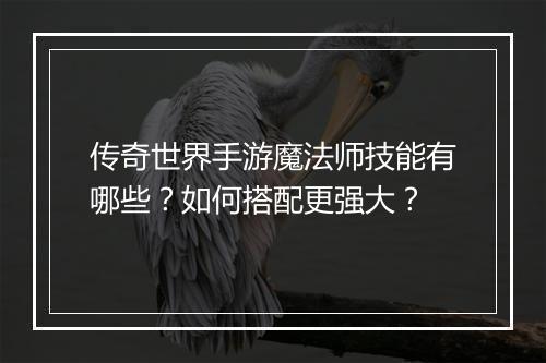 传奇世界手游魔法师技能有哪些？如何搭配更强大？