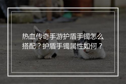 热血传奇手游护盾手镯怎么搭配？护盾手镯属性如何？