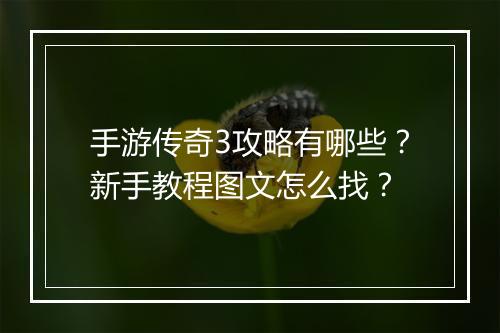 手游传奇3攻略有哪些？新手教程图文怎么找？