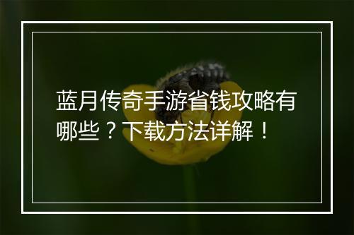 蓝月传奇手游省钱攻略有哪些？下载方法详解！