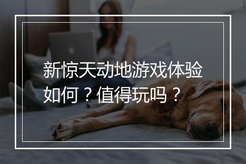 新惊天动地游戏体验如何？值得玩吗？