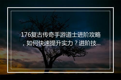 176复古传奇手游道士进阶攻略，如何快速提升实力？进阶技巧揭秘！