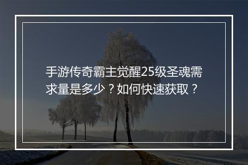 手游传奇霸主觉醒25级圣魂需求量是多少？如何快速获取？