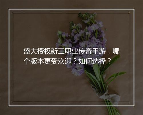 盛大授权新三职业传奇手游，哪个版本更受欢迎？如何选择？