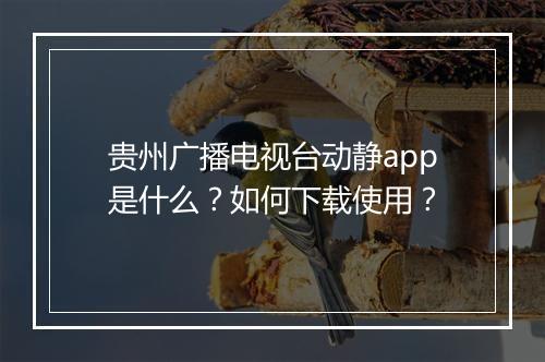 贵州广播电视台动静app是什么？如何下载使用？