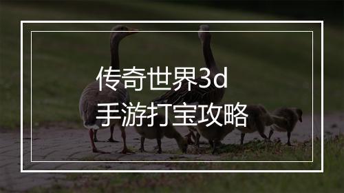传奇世界3d手游打宝攻略