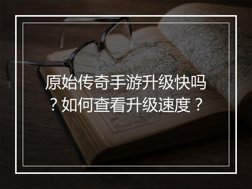 原始传奇手游升级快吗？如何查看升级速度？