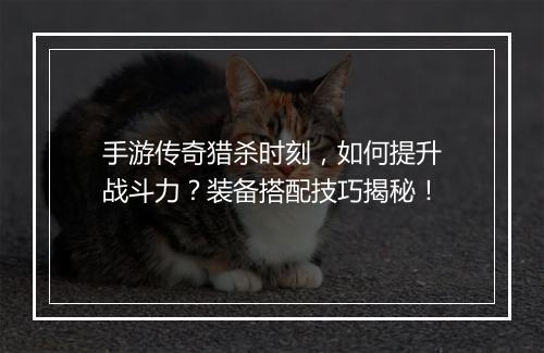 手游传奇猎杀时刻，如何提升战斗力？装备搭配技巧揭秘！