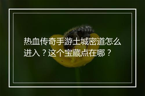 热血传奇手游土城密道怎么进入？这个宝藏点在哪？