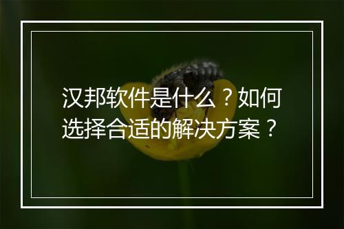 汉邦软件是什么？如何选择合适的解决方案？