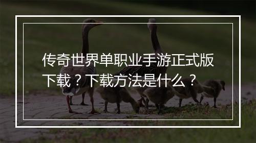 传奇世界单职业手游正式版下载？下载方法是什么？