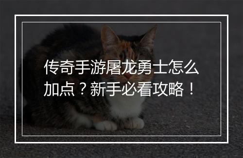 传奇手游屠龙勇士怎么加点？新手必看攻略！
